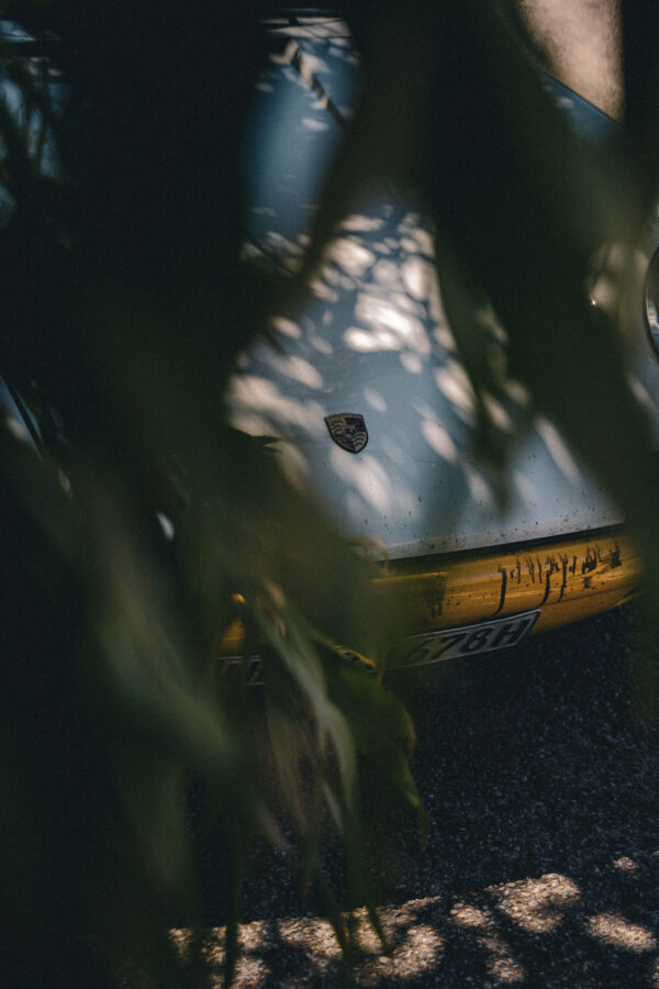 Under palms